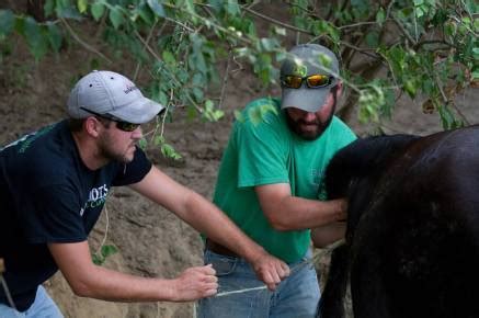gay milker|The Day a Cattle Farmer Asked Me to Do the Unthinkable.